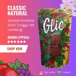 Kopi Arabica Gunung Bukit Tunggul (Gandok) Lembang Proses Natural (100gr)